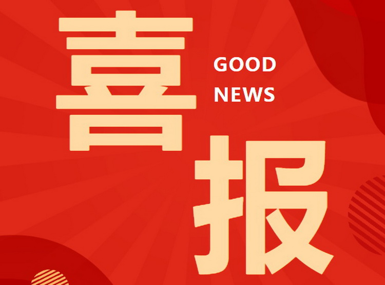 [good news] remote was rated as one of the top 100 most competitive enterprises in China's cable industry in 2024
