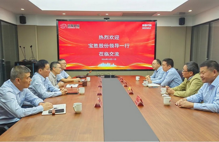 Baosheng shares' visit remote shares' visit and exchange
