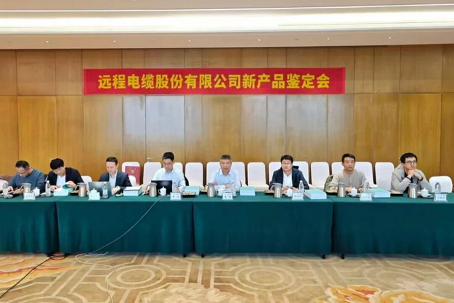 Remote Holdings successfully held the 2025 New Product Appraisal Conference