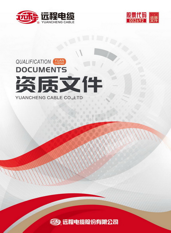 远程股份资质文件